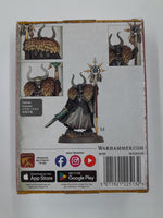 
              Warhammer Age Of Sigma Slaves of Darkness Chaos Sorcerer Lord
            
