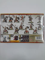 
              Warhammer Age Of Sigma Slaves of Darkness Darkoath Marauders
            