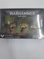 
              Warhammer 40k Blood Angels Sanguinary Guard
            