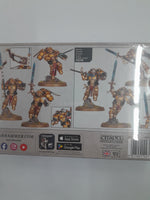 
              Warhammer 40k Blood Angels Sanguinary Guard
            